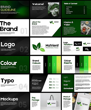 Brand Identity & Guidelines